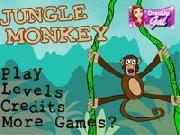 Jungle Monkey